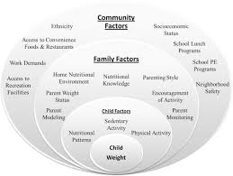 Shalom schwartz, an israeli sociologist, identifies seven cultural values in three pairs, usually arranged in a circle. Addressing Childhood Obesity Pediatric Clinics