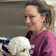 Meet Our Mead Vets Team