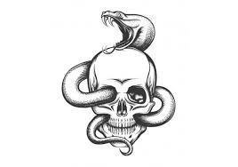 Il (chercher) ses crayons de couleur. Stickers Deco Tete De Mort Serpent
