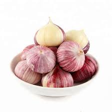Garlic is a pungently odoriferous member of the allium family (like onions and leeks). High Quality Fresh Single Clove Garlic Buy Fresh Solo Garlic Solo Garlic Fresh Single Clove Garlic Product On Alibaba Com