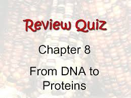 Identifying dna as the genetic material (8. Unit 8 Chapter 8 From Dna To