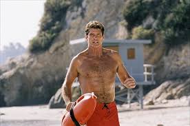 Image result for hasselhoff
