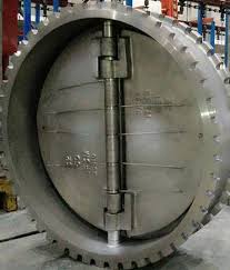 Check Valves Supplier, Exporter
