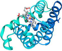 The worldwide protein data bank (www.wwpdb.org) consists of a number of organisations that act as deposition, data processing and distribution centres. Pin On Istruzione