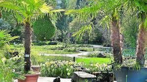 Diente der garten früher ausschließlich der wissenschaft und universitären lehre, so bietet er. Streifzug Durch Den Botanischen Garten In Erlangen Erlangen Nordbayern