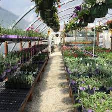 Maybe you would like to learn more about one of these? Larry S Nursery 12 Reviews Nurseries Gardening 2501 Nw Platte Rd Riverside Mo Phone Number Yelp