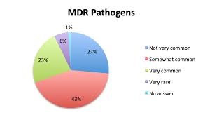 Results Of Escavos Survey On Antibiotic Use In Sepsis Escavo