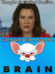 We did not find results for: Politics Pinky And The Brain Memes Gifs Imgflip