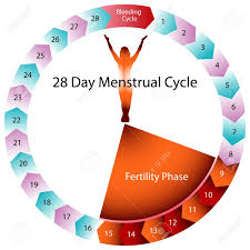 An Image Of A Menstrual Cycle Chart