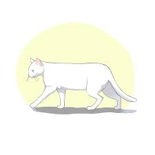 Start your drawing by using circle shapes to create the form of the cat. How To Draw Dogs And Cats How To Draw Dogs And Cats In Moving Poses Medibang Paint
