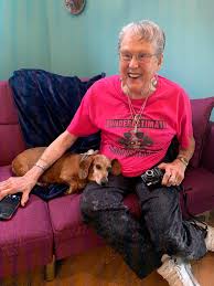 Check spelling or type a new query. Chapman S Dachshund Rescue