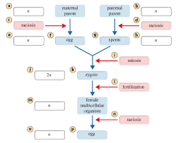 Random science or biology quiz. Mastering Biology Assignment Answers