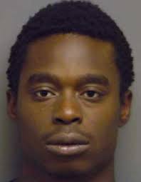 Anna Maria Island News: Two arrested for auto theft, weapons charges