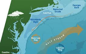 Scientists Investigate Marine Heatwaves And Shifting Ocean Currents Nsf National Science Foundation Two major kinds of currents define the planet's oceans: shifting ocean currents