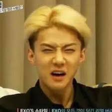 images?q=tbn:ANd9GcTZoiJ8X4bU9y-ctpF3dJ-