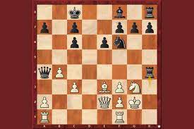 Chess openings are the buildings blocks for every chess player. Rook On The Rim Chessbase