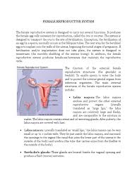 A placenta, which encases a growing embryo, develops and. Female Reproductive System Sexual Arousal Vagina