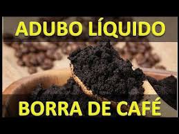 Cafe Verde Emagrece Mesmo Ou é Mito Como Fazer Adubo Liquido Com Po De Cafe Mito Ou Verdade Youtube Em 2020 Como Fazer Adubo Adubo Liquido Adubo