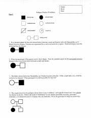 In the event the worksheet you desire isn't shown, click the more sheets. Pedigree Practice Worksheet Pdf Course Hero