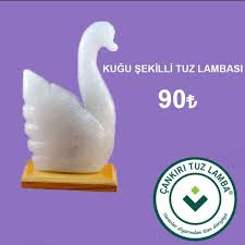 Cankiri Tuz Lambasi Adli Kullanicinin Tuz Lamba Panosundaki Pin Tuz Lamba