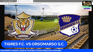 Results and scores from international and domestic competitions from tigres fc. Tigres Fc Vs Orsomarso S C Youtube