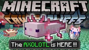 It was first announced during minecraft live 2020 on october 3, 2020. Skippy6 On Twitter The New Minecraft Snapshot Axolotl 20w51a Has Added The New Mob The Axolotl In Another Preview Of The 1 17 Cave Update Check Out The Changelog Right Here Https T Co Cm0uhvreq8 Https T Co P7aodfmmmp
