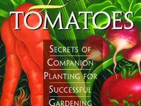 The Healing Benefits Of Gotu Kola An Edible Medicinal Herb Medicinal Herbs Herbalism Herbal Medicine