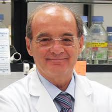 Dr. Jesús Prieto Valtueña