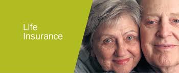 Mount Saint Vincent University