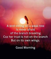 Pin By Jessica Banke On Words Of The Wise Good Morning Messages Good Morning Quotes Morning Quotes
