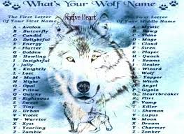 Ever wondered what your native american name is? Native American Names For Wolf Novocom Top