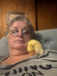 I just took these two in, can anyone tell me if they are boys or girls? I'm  new to ducks. Thank you