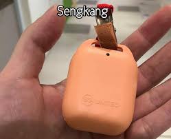 Token users can check if their token is working. Colours Of Tracetogether Tokens Singapore Atrium Sale Facebook