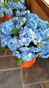 Find travis flowers's contact information, age, background check, white pages, pictures, bankruptcies, property records, liens & civil records. We Saved A Lot Of Money By Purchasing Bulk Flowers From Costco For Diy Centerpieces Event Flowers Diy Centerpieces Floral