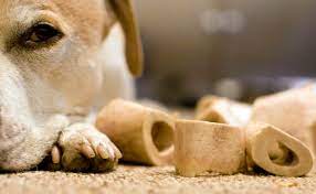 How Do I Choose Safe Dog Bones For My Pup Bark