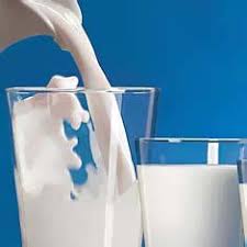 Resultado de imagem para dia internacional do leite
