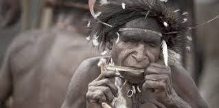 Sebagian besar dari tubuh guoto terbuat dari kayu dengan tambahan senar. 13 Alat Musik Tradisional Papua Dan Cara Memainkannya Tambah Pinter