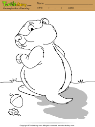 Use crayola® crayons, colored pencils, or markers to color the groundhog. Groundhog Coloring Page Turtle Diary
