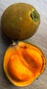 Image result for Cola lateritia