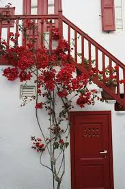 Pin By Miray On Escadas Red Walls Red Door Red Accents