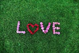 139 Kalp Resimleri En Guzel Kalp Resimleri Guzel Resimler Kalp Resmi Kalp Resimleri Kalp Resimler Kalp Resim Family Tree Clipart Love Images Happy Wallpaper