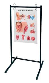 Portable Anatomical Chart Stand Holds Up To 25 Anatomical Charts