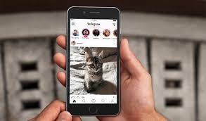 Search their name or instagram handle using the instagram search. How To Know If Someone Hides Their Story From You Instagram Techzillo