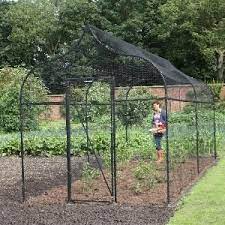 If this size works for you, please proceed to checkout. 7 Tree Cages Ideas Fruit Cage Cage Garden Arch