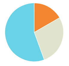 Pie Chart From Chart Js Charts Graphs Chart