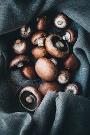 Is it really effective or is it just another regular nootropic drug? Mushroom Soup Avocado Toast Green Kitchen Stories