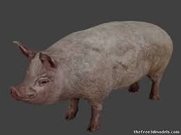 Pig 3d Model Obj 3d Model Model Pig
