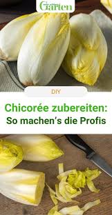 Sie können problemlos ihren partner eltern freunde und bekannte als werber angeben. 320 Rezepte Mit Herz Ideen In 2021 Rezepte Liebe Geht Durch Den Magen Essen