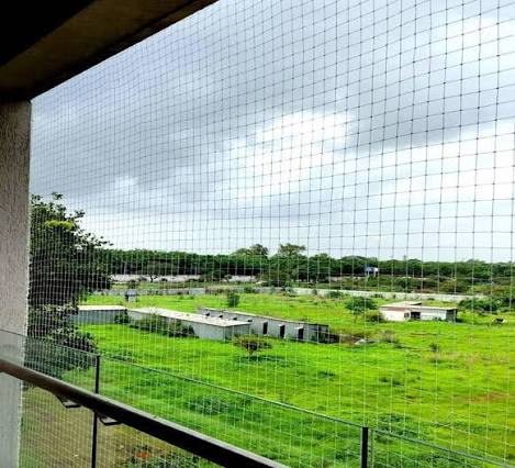 Satyam Bird Net - Professional Bird Net Installation