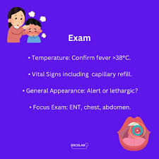 Image result for Fever Without Focus Red Flags